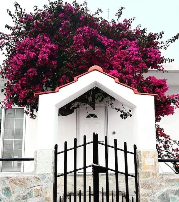 Annika'S Summer Dream Λιβάδια Εξωτερικό φωτογραφία